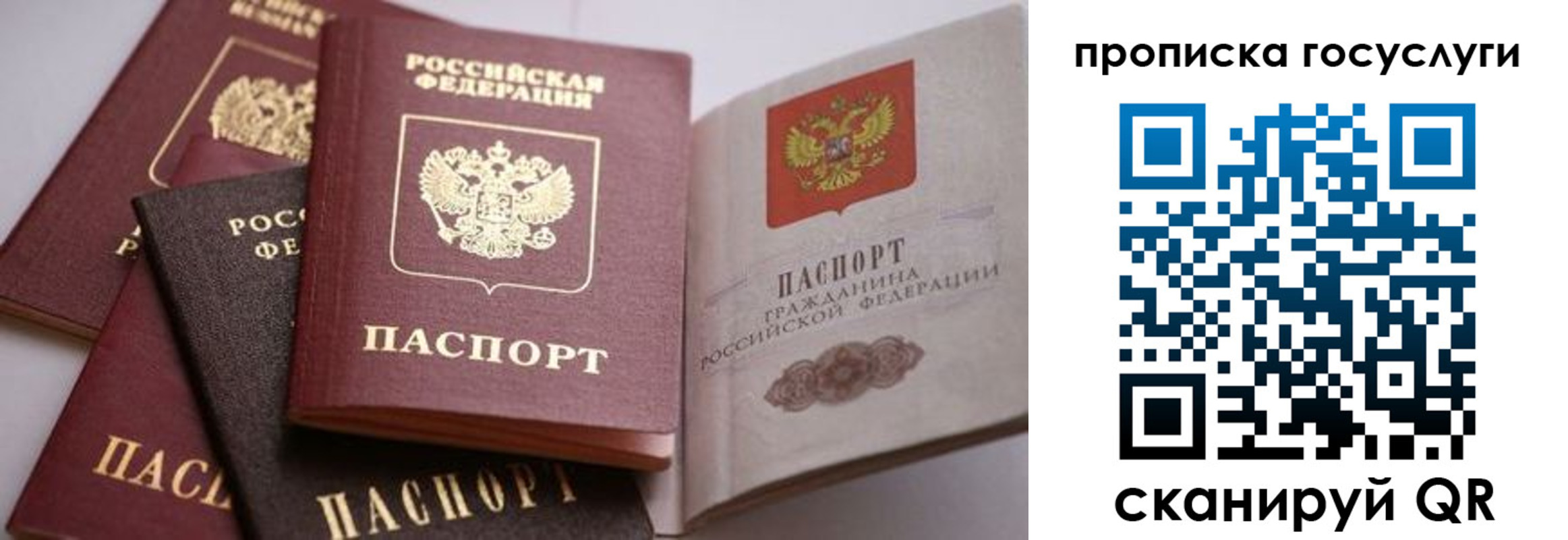 прописка иностранных граждан в Черноголовке