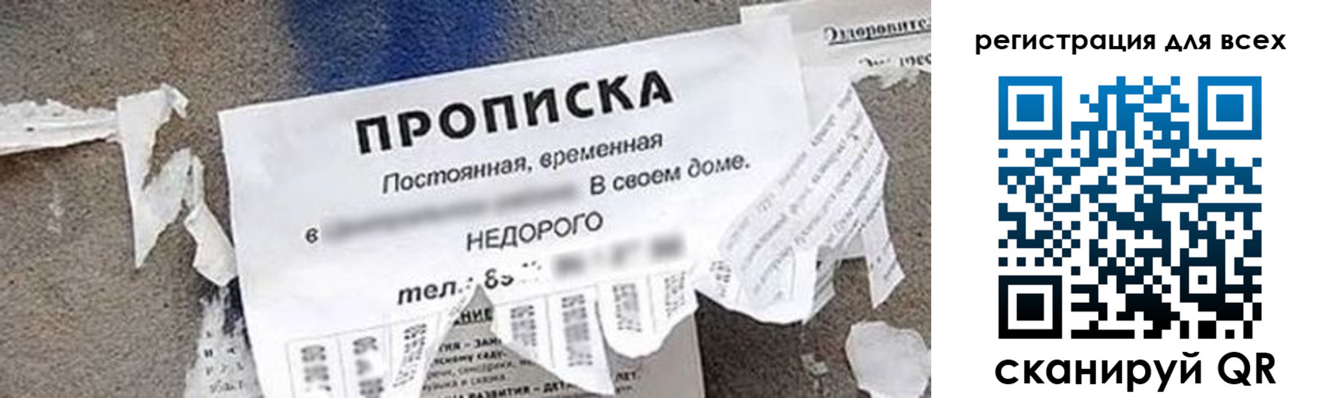 прописка поиск в Черноголовке