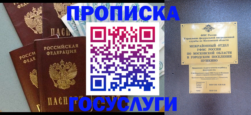 прописка гарантия в Черноголовке